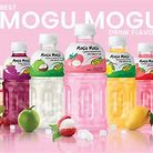 pack mogu mogu X 6